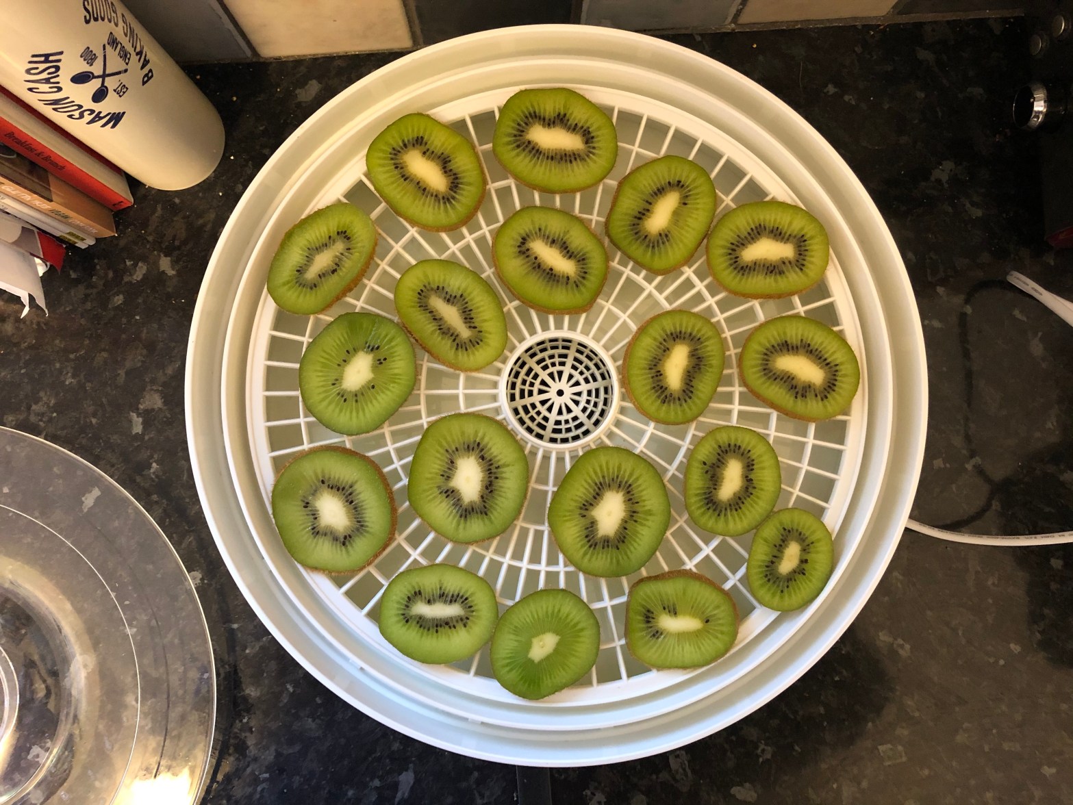 dehydrator-tray-kiwi-chips-sliced